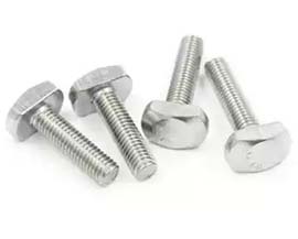 Tee Head Bolt.